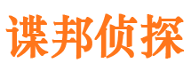 武侯市调查公司